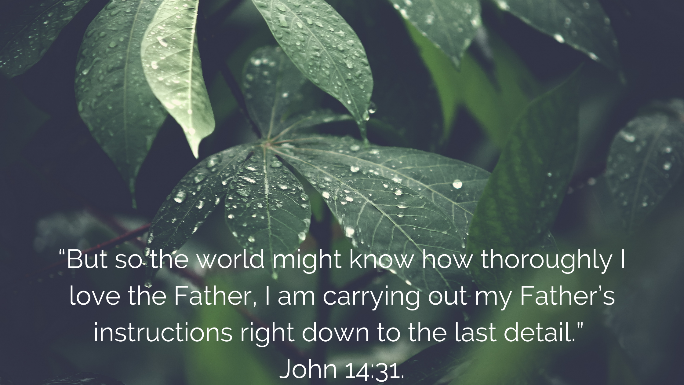 “But so the world might know how thoroughly I love the Father, I am carrying out my Father’s instructions right down to the last detail.” John 1431.