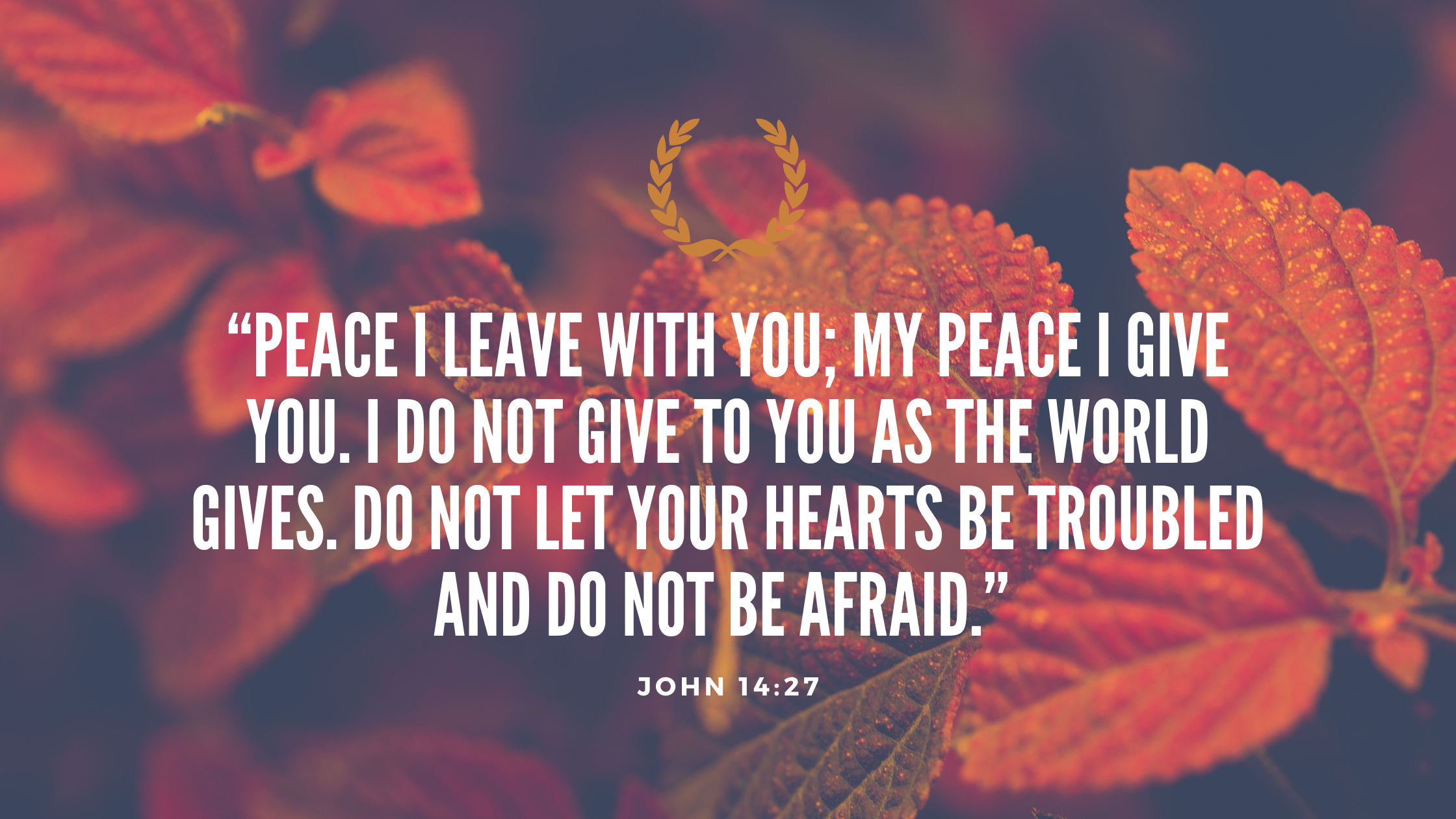 “Peace I leave with you; my peace I give you. I do not give to you as the world gives. Do not let your hearts be troubled and do not be afraid.” -John