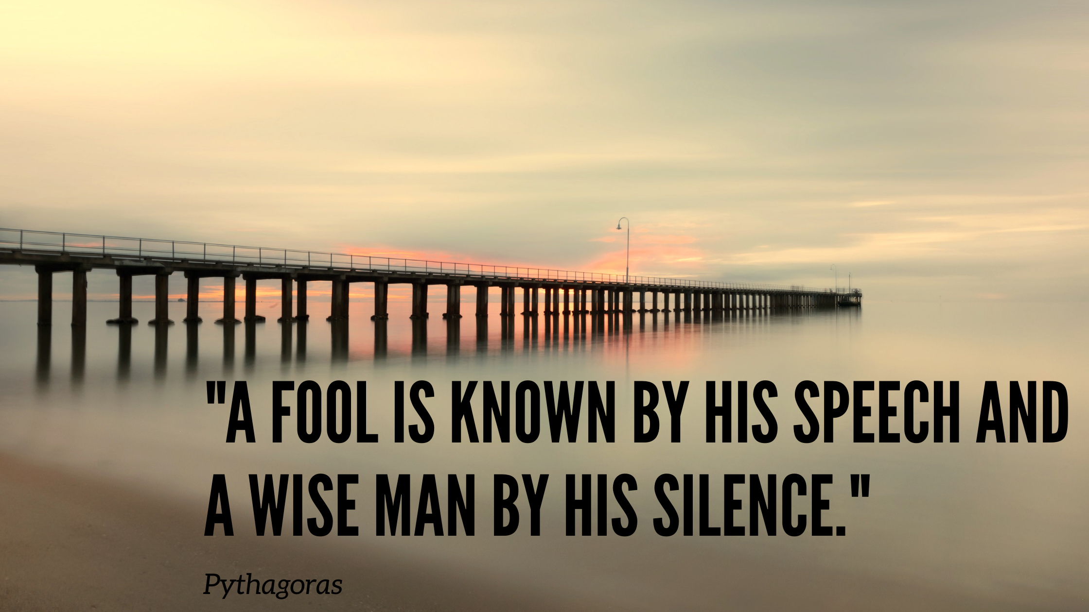 A fool is known by his speech and a wise man by his silence.