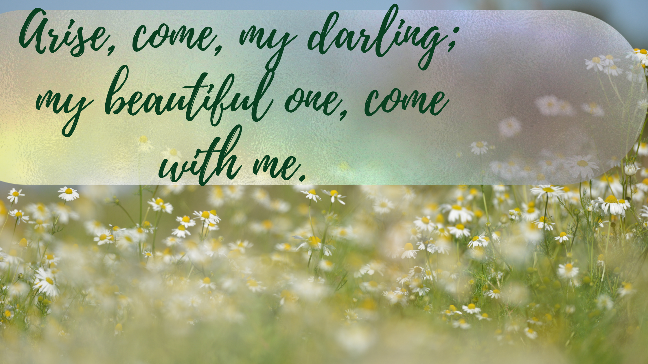 Arise, come, my darling; my beautiful one, come with me.”