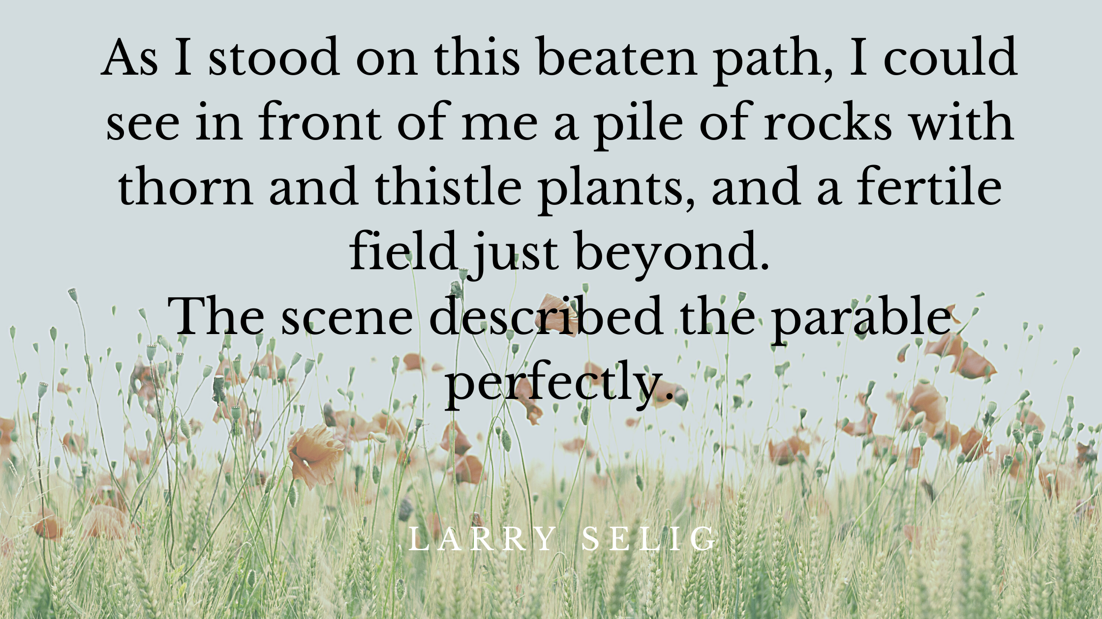 As I stood on this beaten path, I could see in front of me a pile of rocks with thorn and thistle plants, and a fertile field just beyond. The scene d