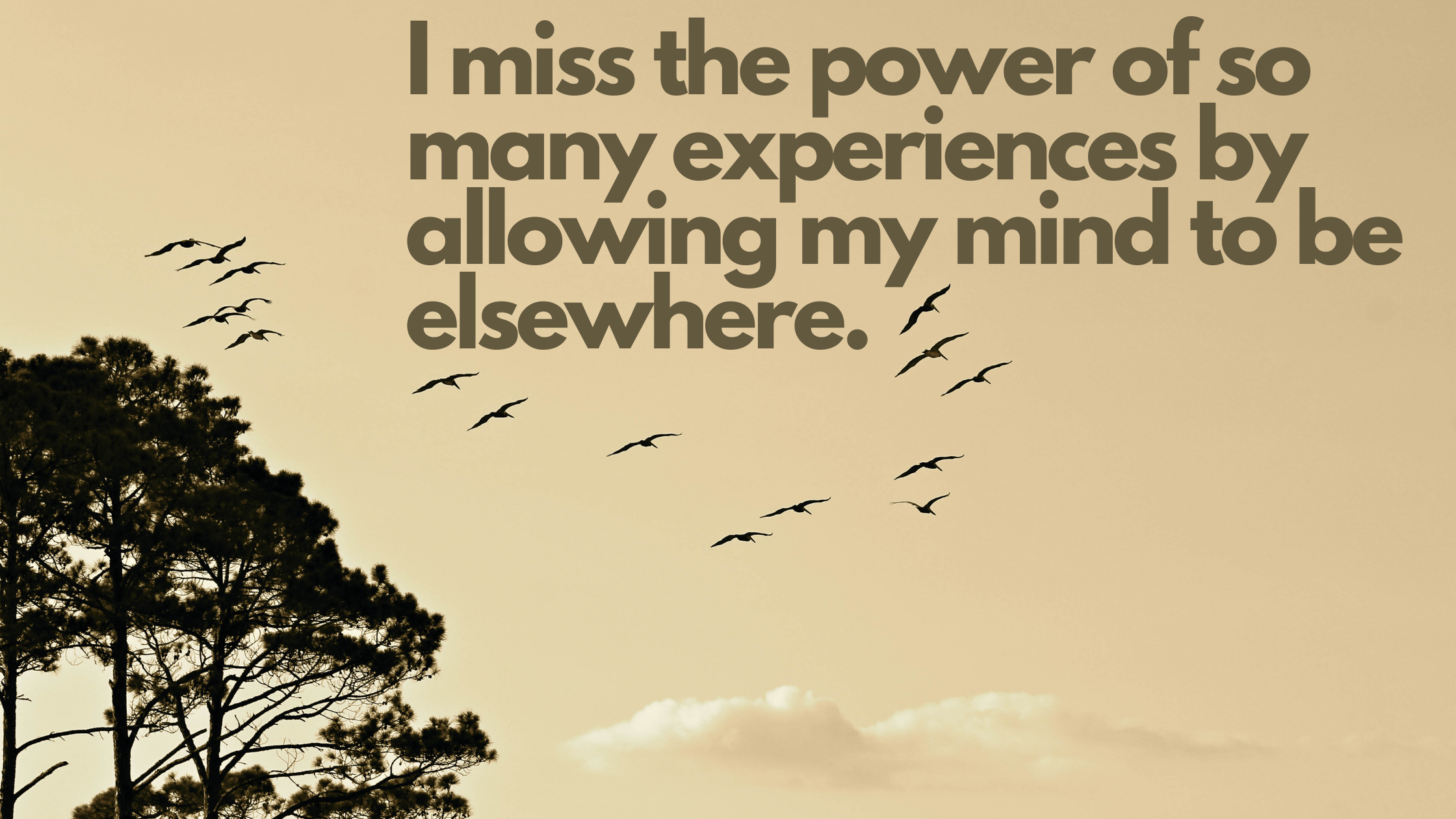 I miss the power of so many experiences by allowing my mind to be elsewhere.