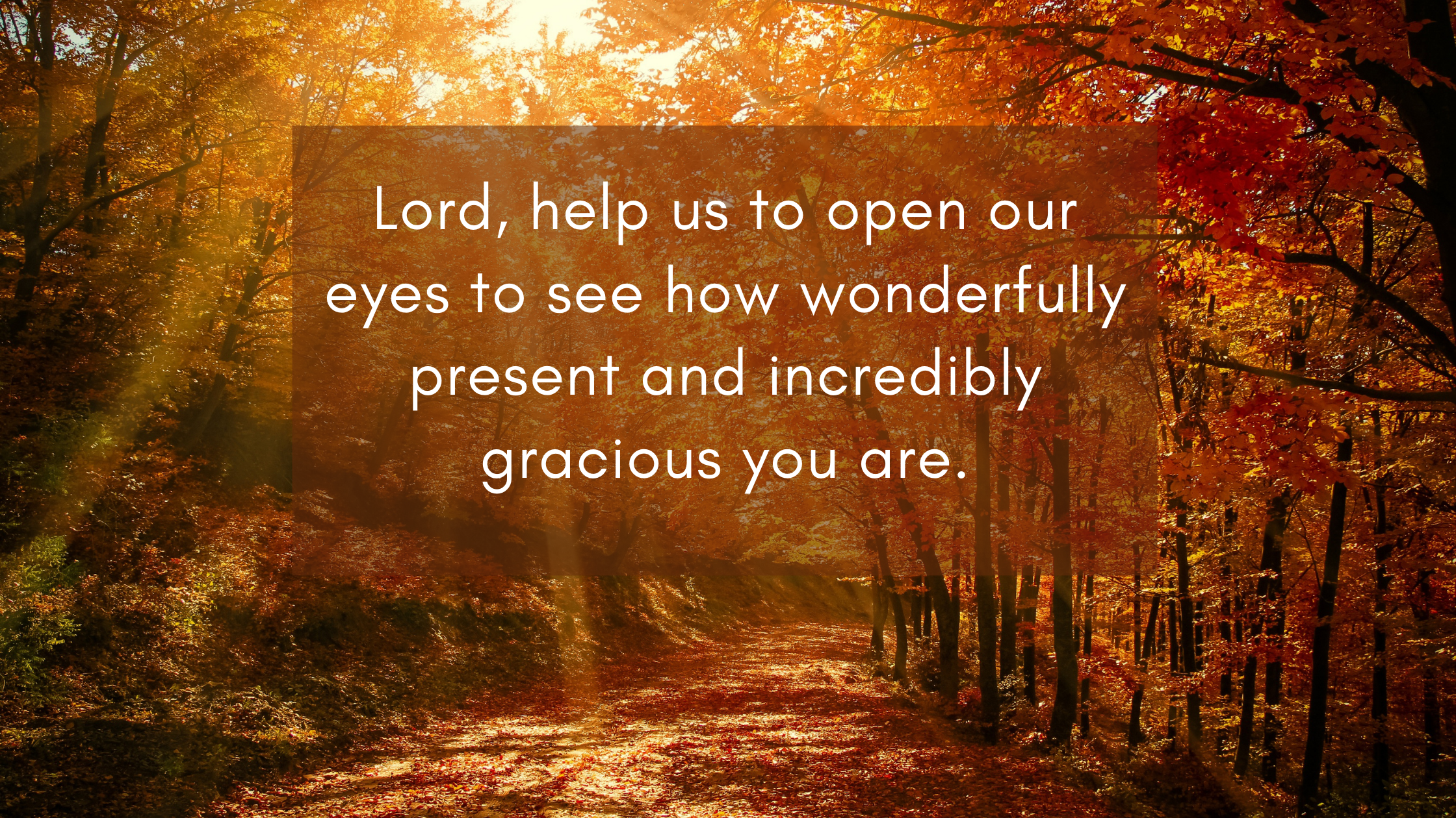 Lord, help us to open our eyes to see how wonderfully present and incredibly gracious you are.