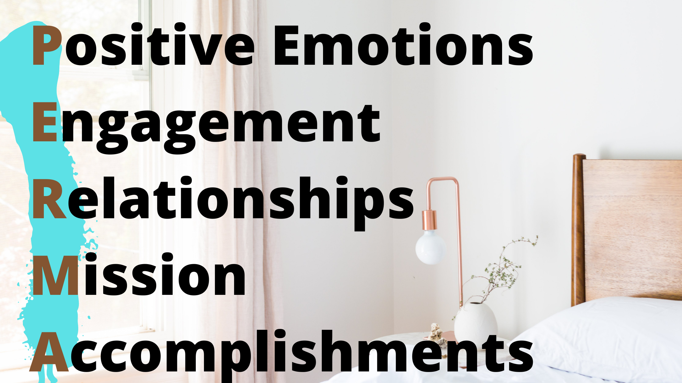 Positive Emotions Engagement Relationships Mission Accomplishments