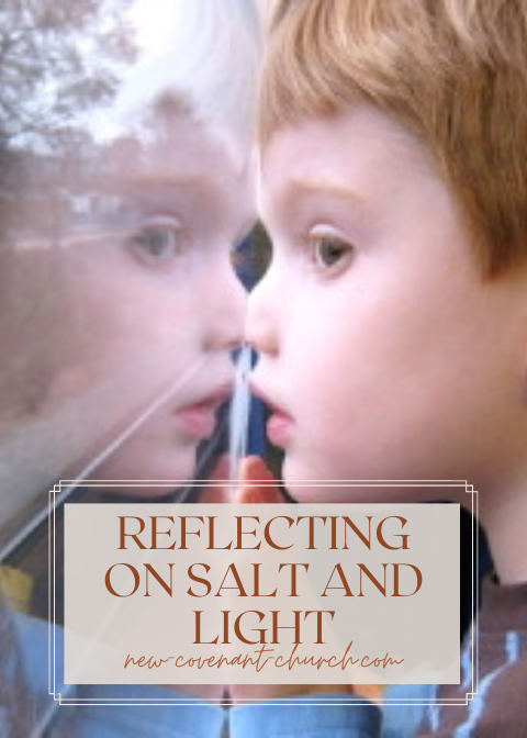 Reflecting on salt and light