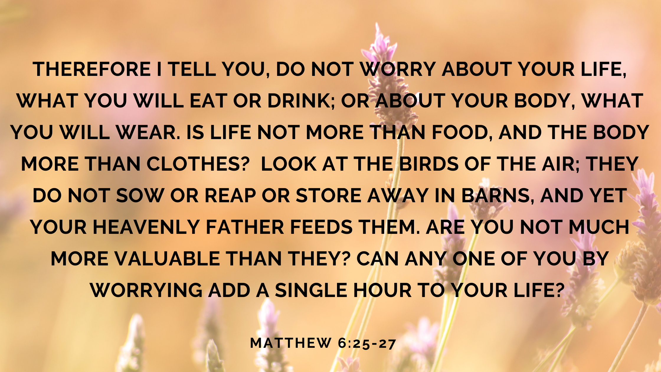 Therefore I tell you, do not worry about your life, what you will eat or drink; or about your body, what you will wear. Is life not more than food, a