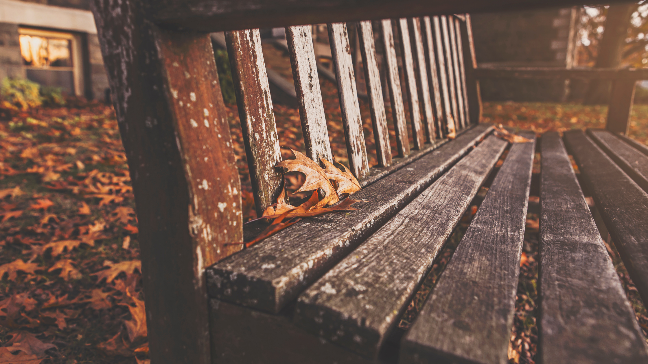 empty bench