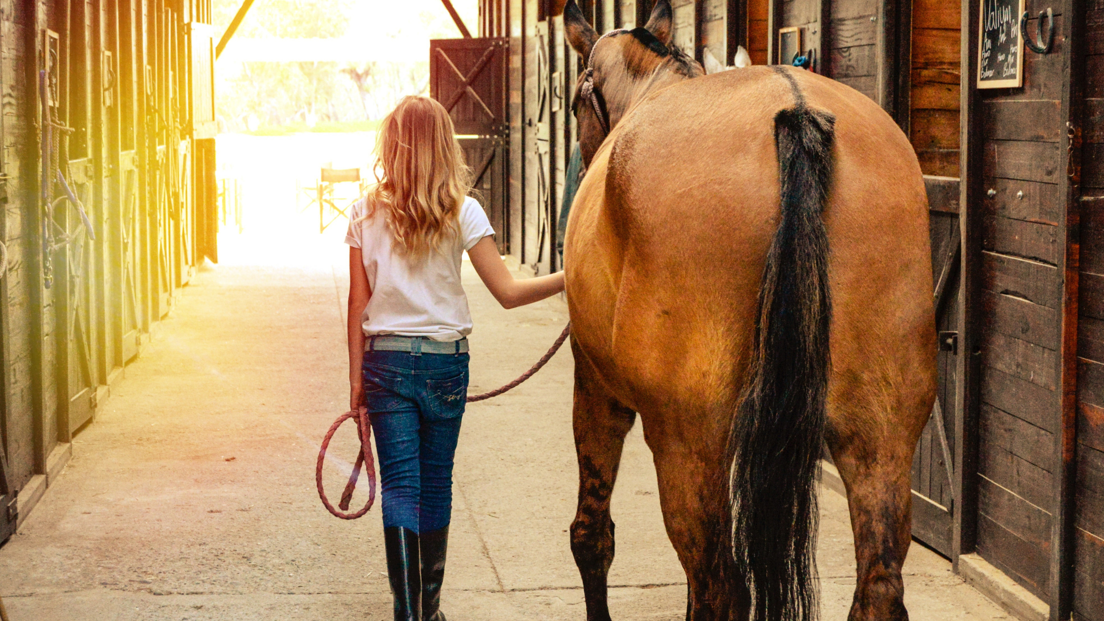 horse show