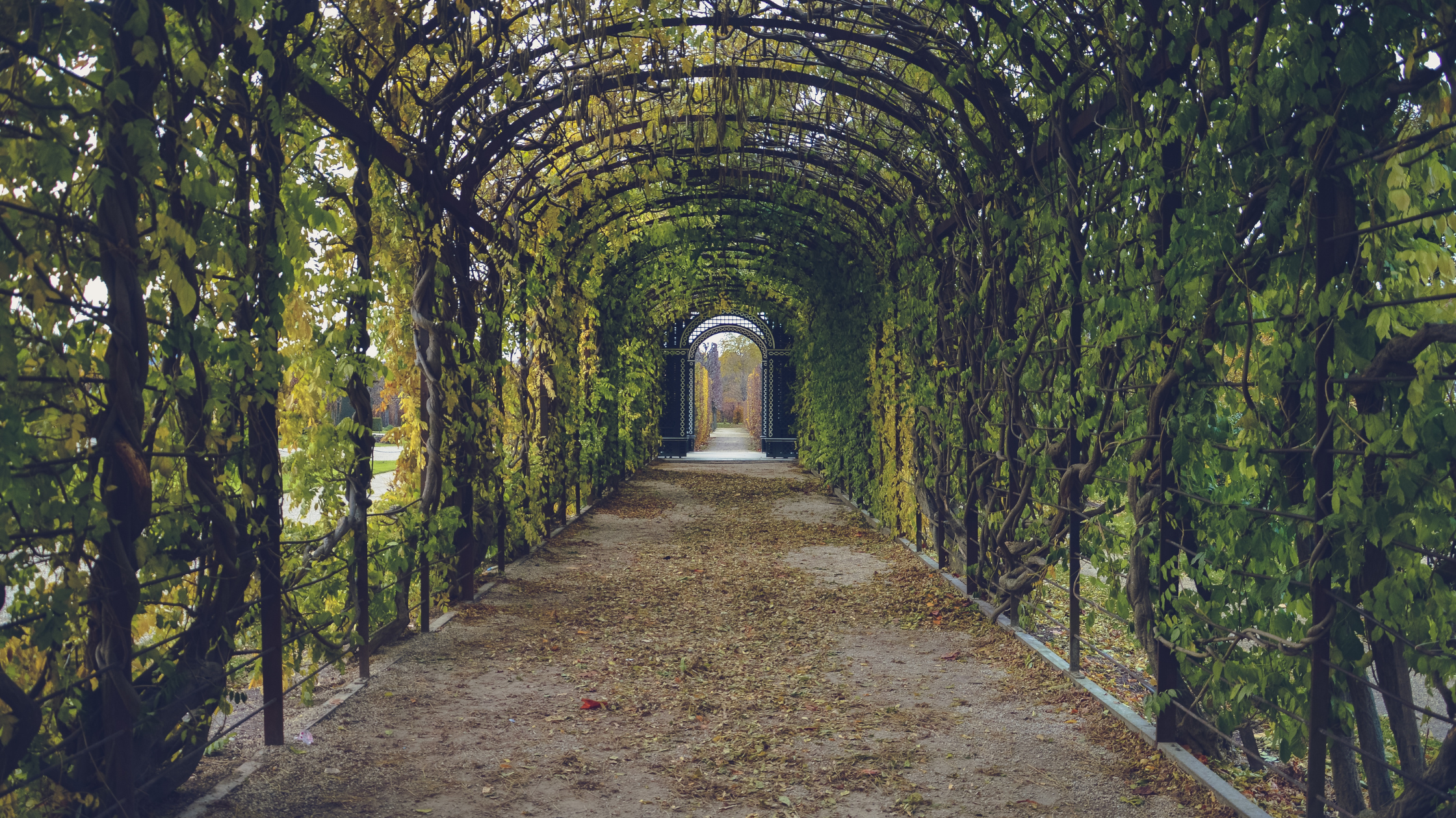 path-1