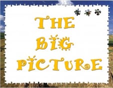 BIG PICTURE