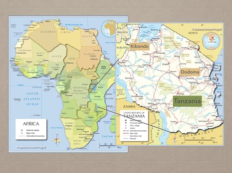 Tanzania Map