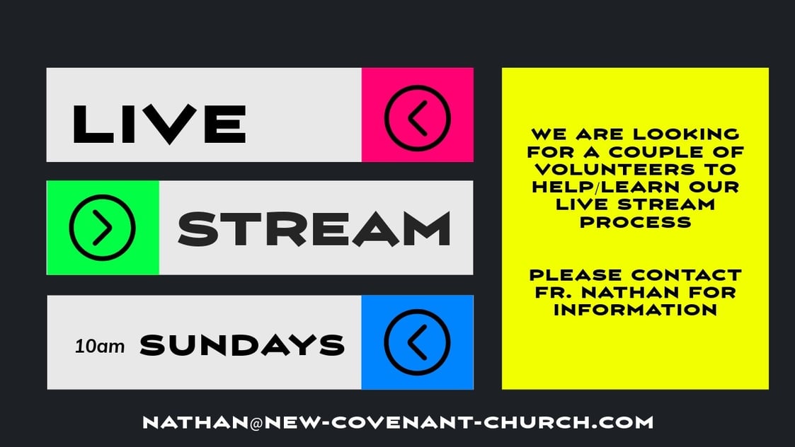 Live Stream