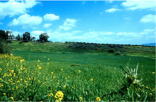 Grassy Place where Jesus fed the 5,000