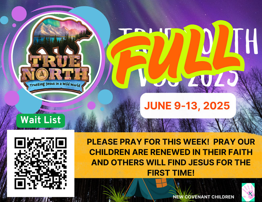 True North VBS 2025