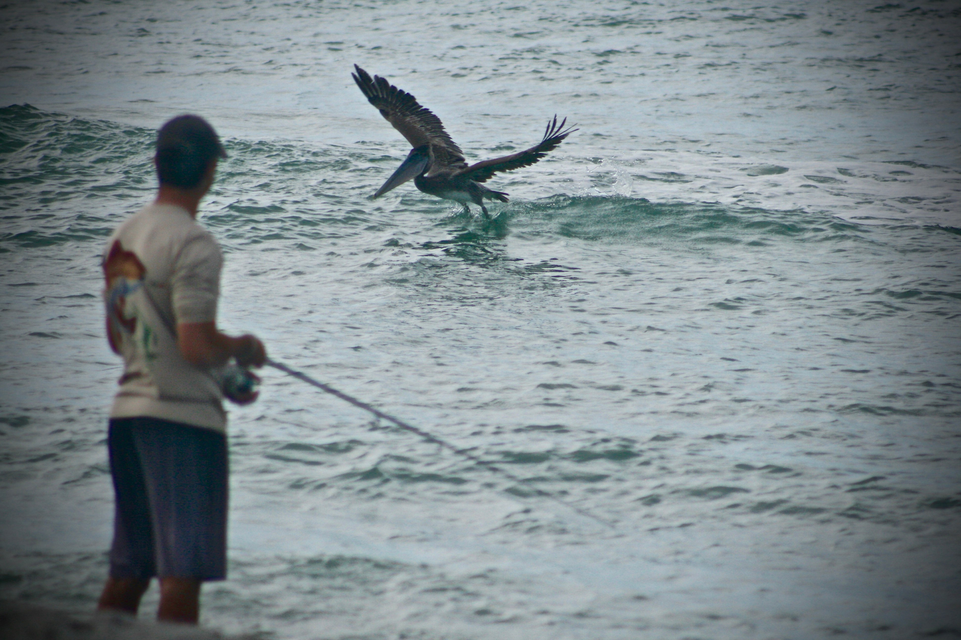 Why didnt you tell me? Fishing at the beach