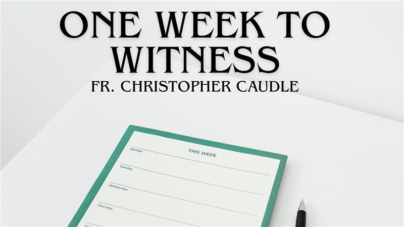 one week to witness (1)
