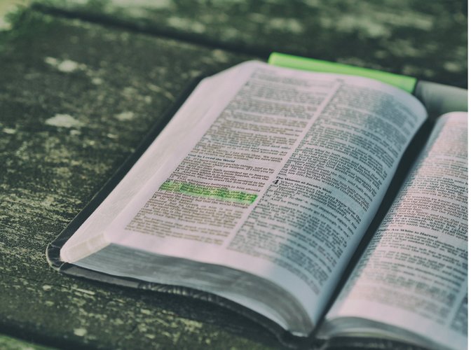 New Covenant Church Blog Test 6