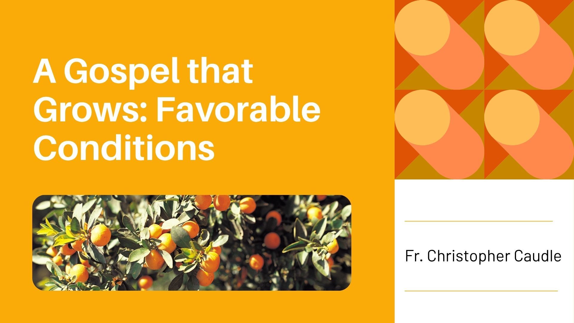 A Gospel That Grows: Favorable Conditions