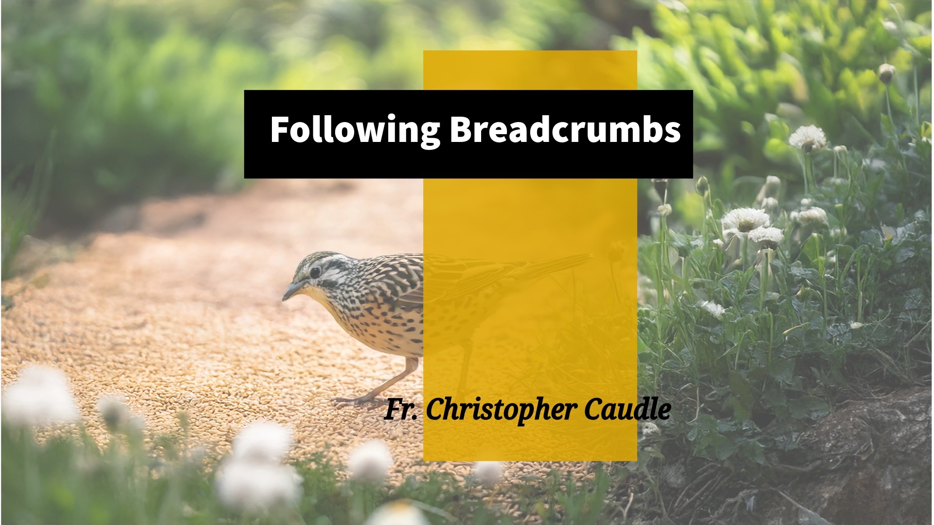 Following Breadcrumbs