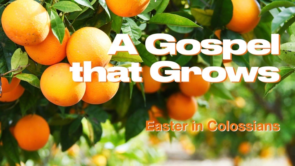 New Covenant Church Sunday Service - April 27 2025 - A Gospel That Grows