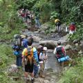 National and International Missions