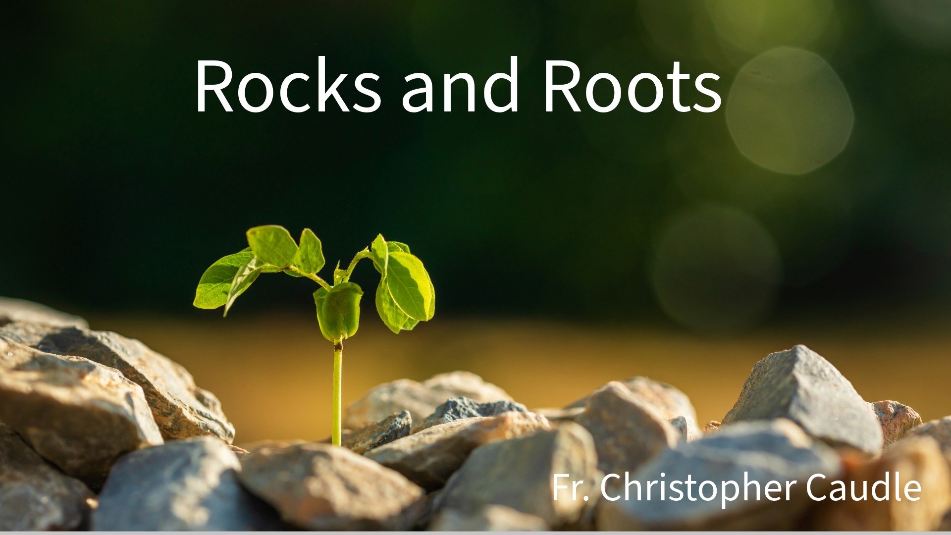 New Covenant Church Sunday Service - March 15 2026 - Rocks and Roots