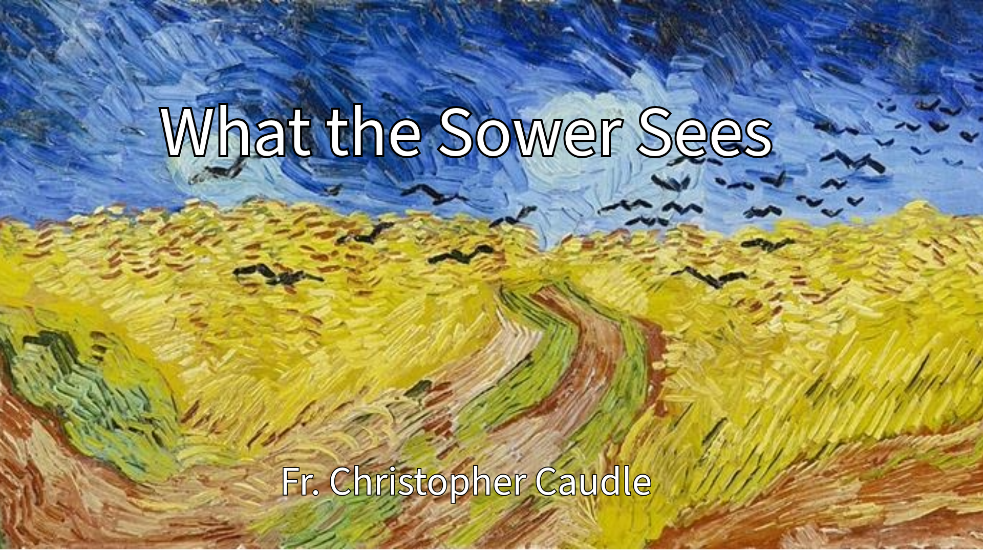 What the Sower Sees